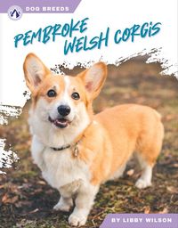Produktbild: Pembroke Welsh Corgis