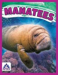 Produktbild: Manatees