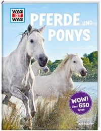 Produktbild: Pferde und Ponys