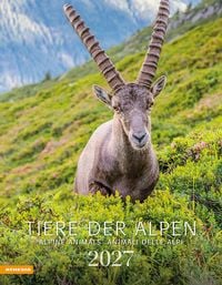 Produktbild: Tiere der Alpen - Kalender 2027