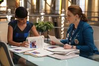 Bones - Season 12  [3 DVDs]