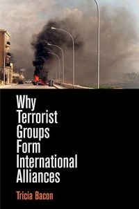Produktbild: Why Terrorist Groups Form International Alliances