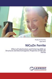 Produktbild: NiCuZn Ferrite