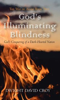 Produktbild: God's Illuminating Blindness