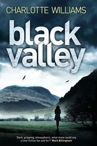 Produktbild: Black Valley