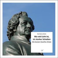 Produktbild: KLR Bd. 67: Wo viel Licht ist, ist starker Schatten