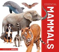 Produktbild: Essential Mammals