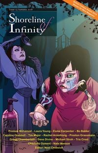 Produktbild: Shoreline of Infinity 13 (Shoreline of Infinity science fiction magazine, #13)