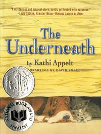 Produktbild: The Underneath