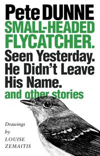 Produktbild: Small-headed Flycatcher. Seen Yesterday. He Didn't Leave His Name.