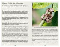 DuMont Reise-Handbuch Reiseführer Costa Rica