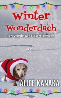 Produktbild: Winter Wonderdach
