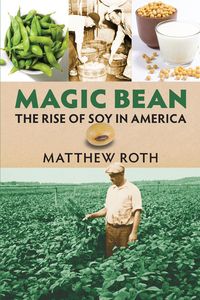 Produktbild: Magic Bean