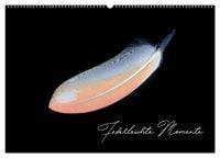 Produktbild: Federleichte Momente (Wandkalender 2026 DIN A2 quer), CALVENDO Monatskalender
