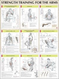 Produktbild: Delavier, F:  Strength Training for the Arms