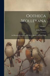 Produktbild: Ootheca Wolleyana