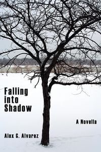 Produktbild: Falling into Shadow