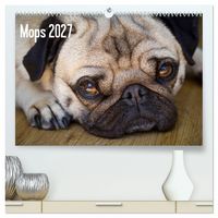 Produktbild: Mops 2027 (hochwertiger Premium Wandkalender 2027 DIN A2 quer), Kunstdruck in Hochglanz