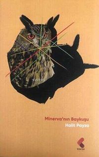 Produktbild: Minervanin Baykusu