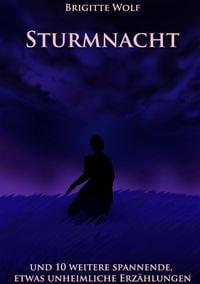 Produktbild: Sturmnacht