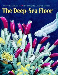 Produktbild: The Deep-Sea Floor