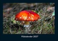 Produktbild: Pilzkalender 2027 Fotokalender DIN A4