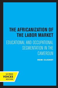 Produktbild: The Africanization of the Labor Market