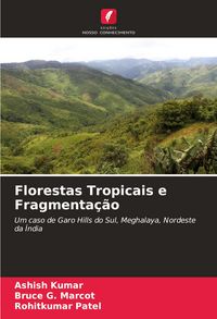 Produktbild: Florestas Tropicais e Fragmenta&ccedil;&atilde;o