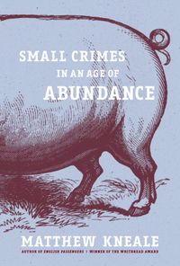 Produktbild: Small Crimes in an Age of Abundance