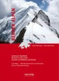 Bild vom Artikel Berner Alpen vom Autor Daniel Silbernagel