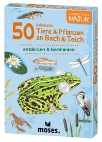 Produktbild: Expedition Natur - 50 heimische Tiere & Pflanzen an Bach & Teich
