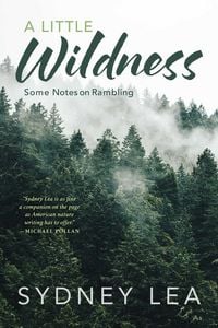 Produktbild: Little Wildness