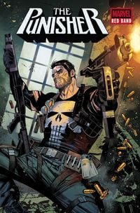 Produktbild: Punisher