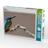 Produktbild: CALVENDO Puzzle Eisvogel | 1000 Teile Lege-Gr&ouml;&szlig;e 64x48cm Foto-Puzzle f&uuml;r gl&uuml;ckliche Stunden