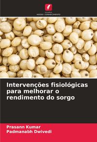 Produktbild: Interven&ccedil;&otilde;es fisiol&oacute;gicas para melhorar o rendimento do sorgo