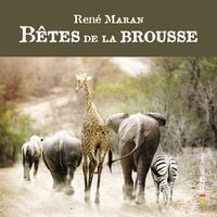 Produktbild: B&ecirc;tes de la Brousse