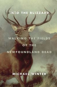 Produktbild: Into the Blizzard: Walking the Fields of the Newfoundland Dead