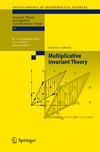 Produktbild: Multiplicative Invariant Theory