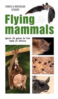 Produktbild: Stuart, C: Flying Mammals