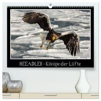 Produktbild: Seeadler - K&ouml;nige der L&uuml;fte (hochwertiger Premium Wandkalender 2026 DIN A2 quer), Kunstdruck in Hochglanz