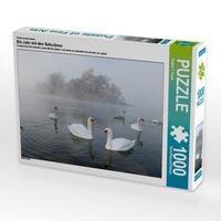 Produktbild: CALVENDO Puzzle Ein Motiv aus dem Kalender Ein Jahr mit den Schw&auml;nen | 1000 Teile Lege-Gr&ouml;&szlig;e 64x48cm Foto-Puzzle f&uuml;r gl&uuml;ckliche Stunden