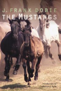 Produktbild: The Mustangs