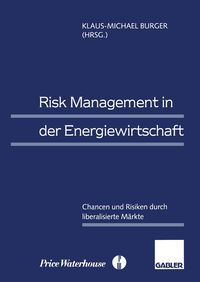 Produktbild: Risk Management in der Energiewirtschaft