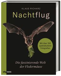 Produktbild: Nachtflug