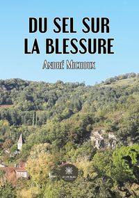 Produktbild: Andr&eacute; Michoux: Du sel sur la blessure