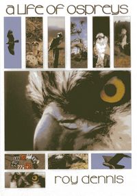 Produktbild: Life of Ospreys