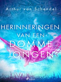 Produktbild: Herinneringen van een domme jongen