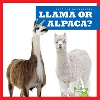 Produktbild: Llama or Alpaca?