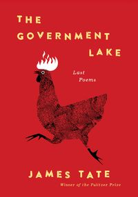 Produktbild: The Government Lake