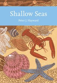 Produktbild: Shallow Seas